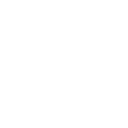 Asbury Automotive Group, Inc. Share Price